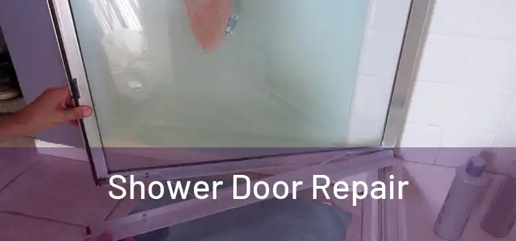  Shower Door Repair 
